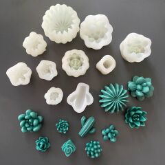 10'lu Kaktüsler Kalıp Seti