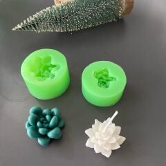 2’li Kaktüs Silikon Kalıp Seti