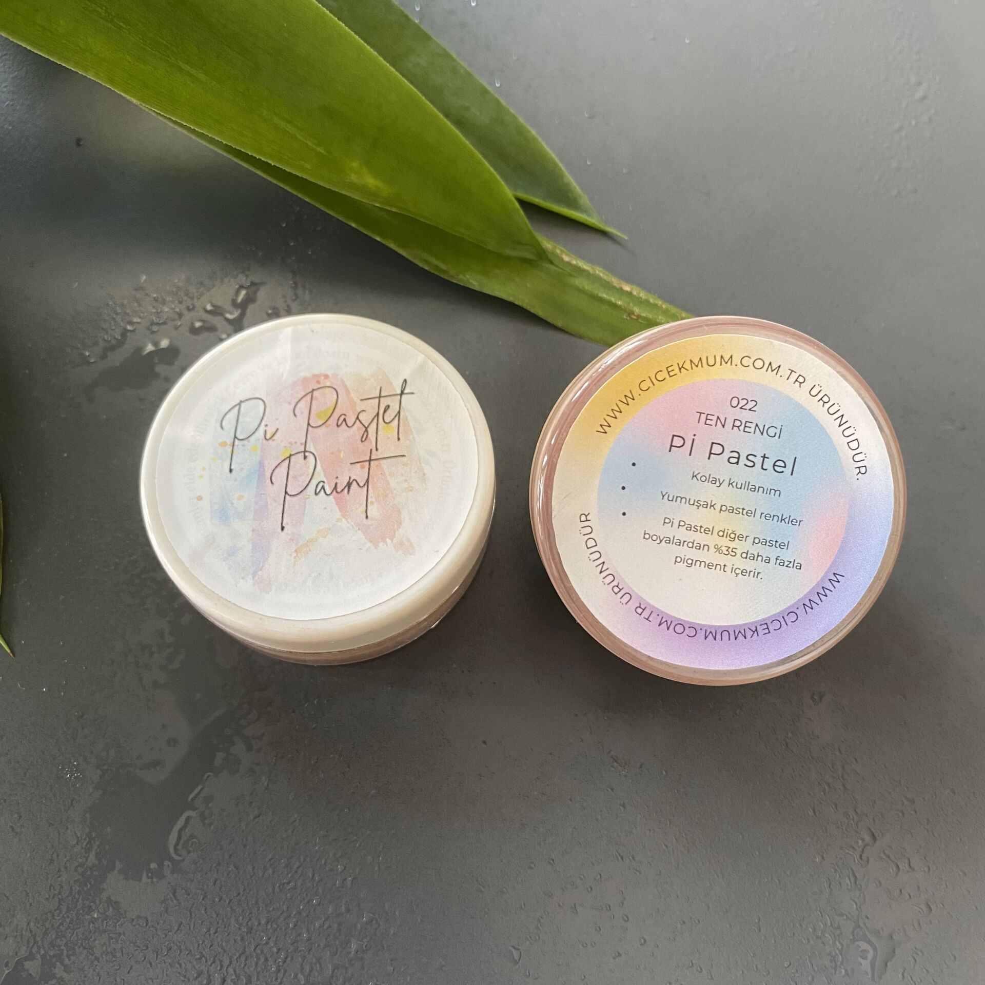 Pi Pastel - Ten Rengi - 15 Gr