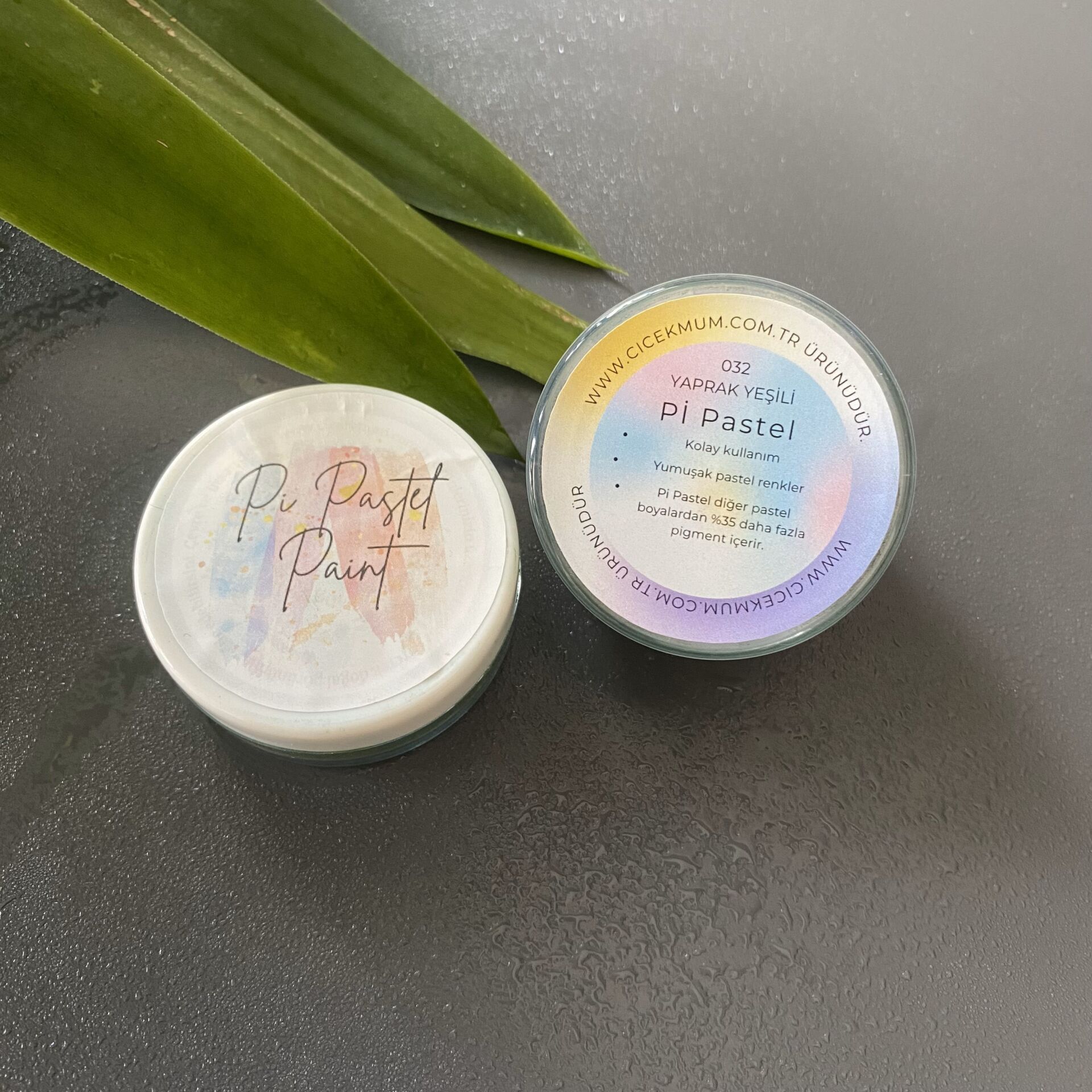 Pi Pastel - Yaprak Yeşili - 15 Gr