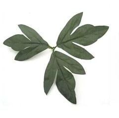 Şakayık Yeşil Dal Yaprak Kesici ve Silikon Damarlayıcı