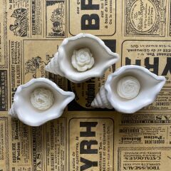 Deniz Salyangozu Mum Sunumluk - Tabak Silikon Kalıp