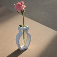 Modern Formlu Cam Tüplü Dekoratif Vazo / Saksı