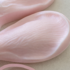 Gardenya Yaprak Kesici ve Silikon Damarlayıcı Seti