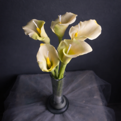 Gala Kesici ve Silikon Damarlayıcı