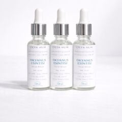 Okyanus Esintisi Esansı 30ml | Yüksek Tutuculuk